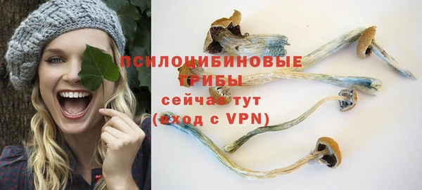 крисы Бронницы
