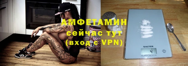 крисы Бронницы