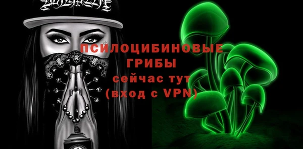 крисы Бронницы