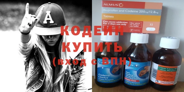 крисы Бронницы